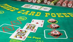 bajii666 Live Casino